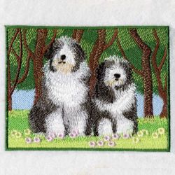 Bearded Collie 03(Lg)