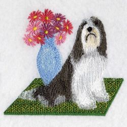 Bearded Collie 08(Sm) machine embroidery designs