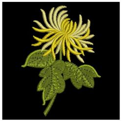 Chrysanthemums 2 02