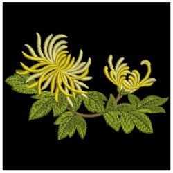 Chrysanthemums 2 03