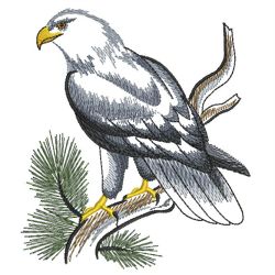 Brush Painting Eagles 02(Lg) machine embroidery designs