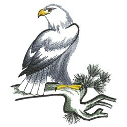 Brush Painting Eagles 03(Md) machine embroidery designs