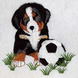 Bernese Mountain Dog 2 01(Sm) machine embroidery designs