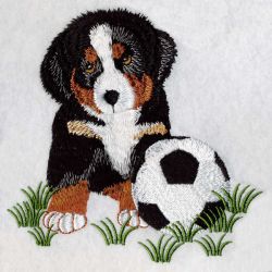 Bernese Mountain Dog 2(Lg) machine embroidery designs