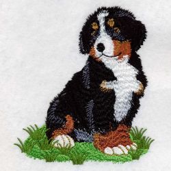 Bernese Mountain Dog 2 02(Lg) machine embroidery designs