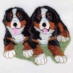 Bernese Mountain Dog 2 04(Sm) machine embroidery designs