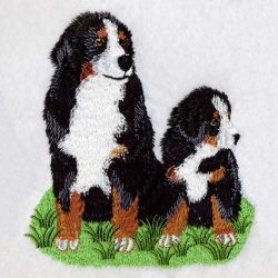 Bernese Mountain Dog 2 05(Sm) machine embroidery designs