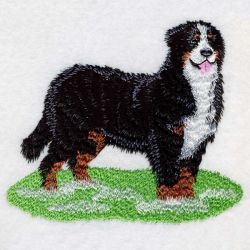 Bernese Mountain Dog 2 06(Sm) machine embroidery designs