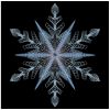 Rippled Snowflakes 02(Sm)