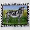 African Zebra 02(Lg)