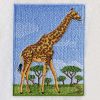 African Giraffe 01(Sm)