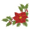 Poinsettia