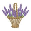 Lavender 06