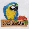 Blue and Yellow Macaw 01(Lg)