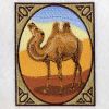 Africa Camel 06(Sm)
