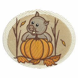 Fall Baby Animals 10