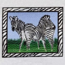 African Zebra 01(Sm)