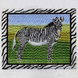 African Zebra 02(Sm)