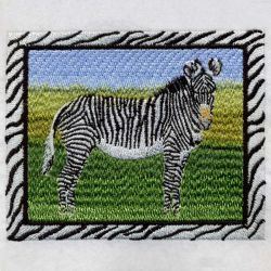 African Zebra 02(Sm) machine embroidery designs