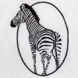 African Zebra 03(Sm)