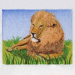 African Lion 01(Sm) machine embroidery designs