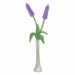 Lavender 03