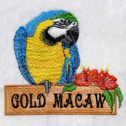 Blue and Yellow Macaw 01(Lg) machine embroidery designs