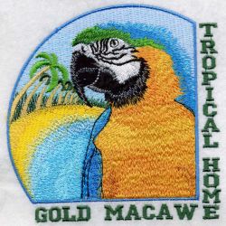 Blue and Yellow Macaw 02(Sm) machine embroidery designs