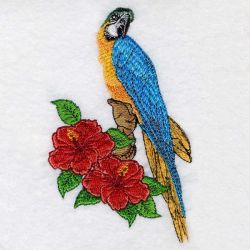 Blue and Yellow Macaw 03(Sm) machine embroidery designs