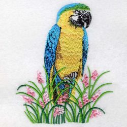 Blue and Yellow Macaw 04(Lg) machine embroidery designs