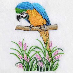 Blue and Yellow Macaw 05(Sm) machine embroidery designs