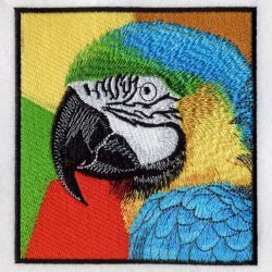 Blue and Yellow Macaw 06(Sm) machine embroidery designs