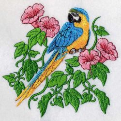 Blue and Yellow Macaw 07(Sm) machine embroidery designs