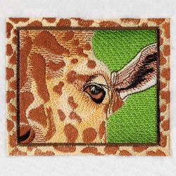 African Giraffe 2 04(Lg)