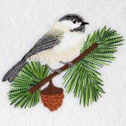 Black Capped Chickadee 04(Lg)