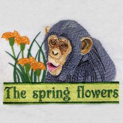 Chimpanzee 02(Sm) machine embroidery designs
