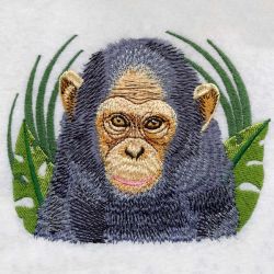 Chimpanzee 03(Lg) machine embroidery designs