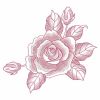 Sketched Roses(Lg)