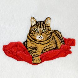 Sweet Kitty 01(Lg) machine embroidery designs