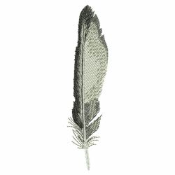 Watercolor Feathers 07(Lg) machine embroidery designs