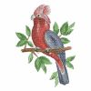 Watercolor Parrots 04(Sm)