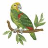 Watercolor Parrots 10(Lg)