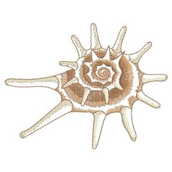 Sketched Seashells(Md) machine embroidery designs