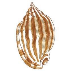 Sketched Seashells 07(Sm) machine embroidery designs