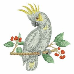 Watercolor Parrots(Lg) machine embroidery designs