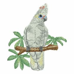 Watercolor Parrots 05(Sm) machine embroidery designs