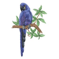 Watercolor Parrots 08(Sm) machine embroidery designs