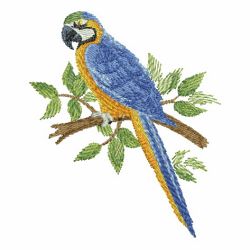 Watercolor Parrots 09(Lg) machine embroidery designs