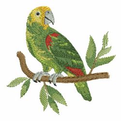 Watercolor Parrots 10(Sm)
