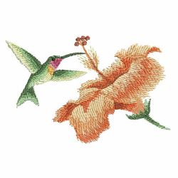Watercolor Hummingbirds 02(Md) machine embroidery designs